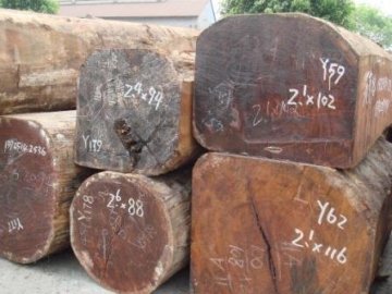 Sawn Wood and Round logs