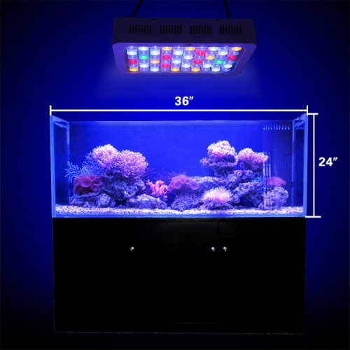 La migliore luce per acquari a LED per piante acquatiche
