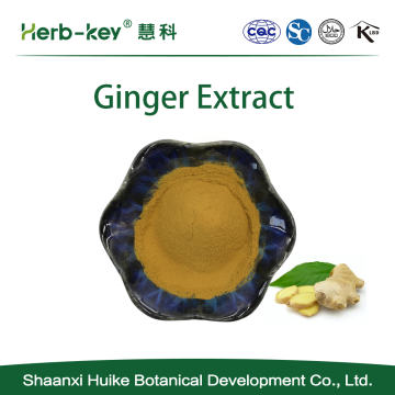 Ginger Extract Gingerols Powder5%