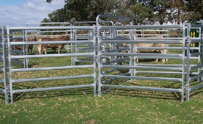 1.8m X 2.1m Durable Galvanized Farm Fence Panel/Livestock Panels and Gates / Cattle Yard Panel