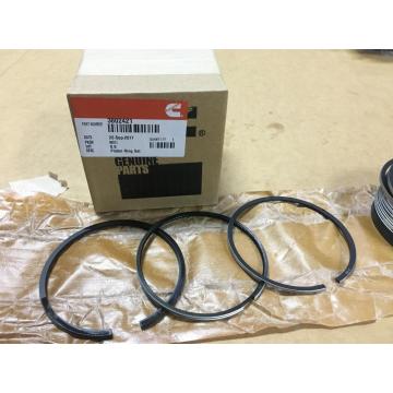 Cummins 6BTAA5.9G6 engine part piston ring set 3802421