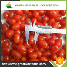 Chinese hot sale Iqf frozen cherry tomato