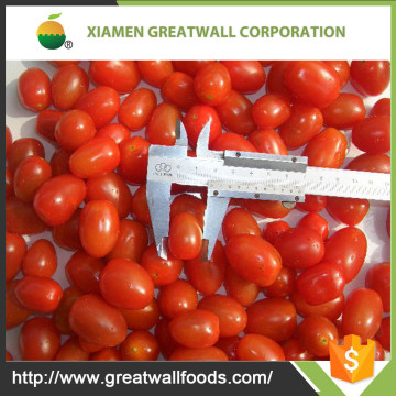 Chinese hot sale Iqf frozen cherry tomato