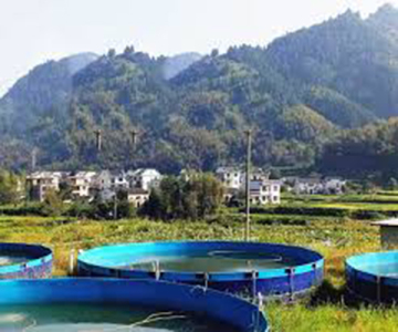 ECO-Friendly Fishing Farming Tank Tarpaulin