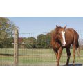 farm guard filed fence fixed knot deer fence