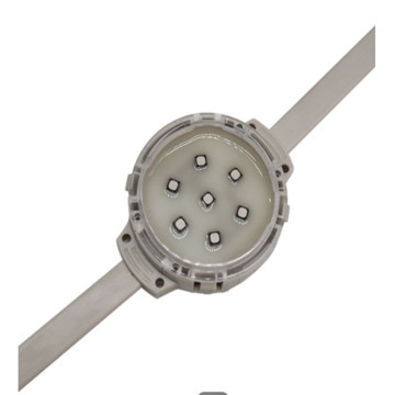 Programmable 40mm LED RGB Point Pixel String