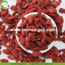 Factory Supply New harvest Dried Goji Berries