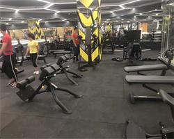 Exercise Equipment for Gym