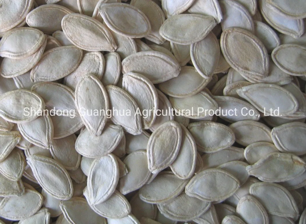 Export Standard Shine Skin Pumpkin Seeds