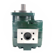 Group 4 Cast Iron Gear Pump