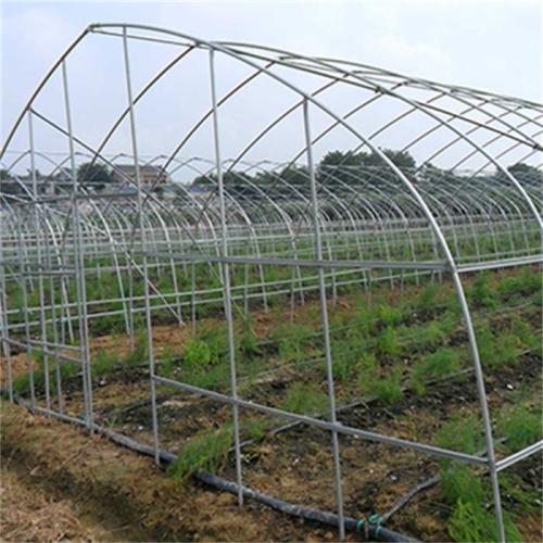 Agriculture Single Tunnel Plastic Film Greenhouse