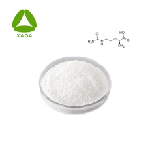 Chlorhexidine Diacetate Poudre CAS 56-95-1 Haute pureté 99%