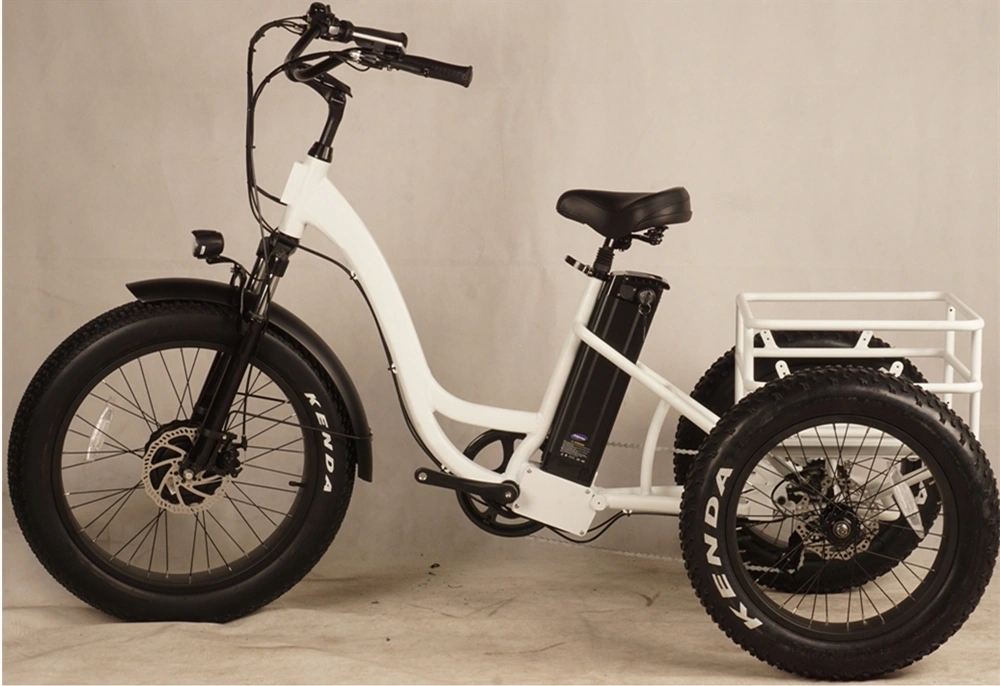 Hot Sale Adult 3 Wheel Electric Bicycle/ Lithium Battery Electric Tricycle Cargo