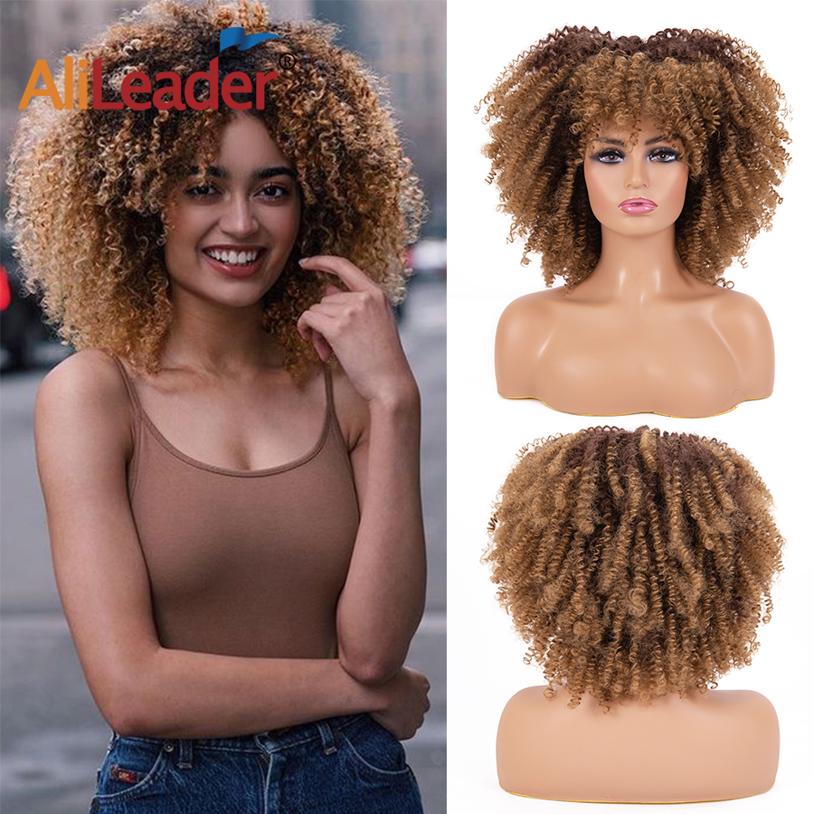 Afro Kinky Curly Synthetic Short Hair Wig