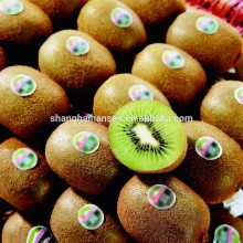 Grapes / Kiwi fruit / Mango/ Fresh fruit Import and Export Agency in Shanghai
