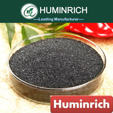 Humirich Shenyang 70HA+8K2O Humato of potasio granulated