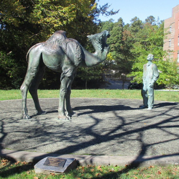 Camel Contemplating a Needle