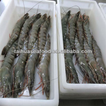 fresh shrimp/hills seafood