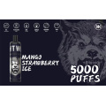 Vape descartável de energia eletrônica 5000puffs