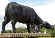 bronze casting foundry metal crafts bronze buffalo animal statue for garden