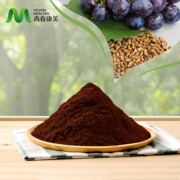 Grape Seed Extract Powder