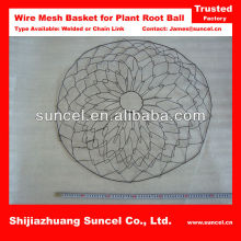 Root Ball Mesh