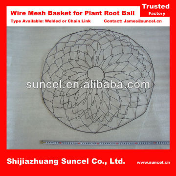 Root Ball Mesh