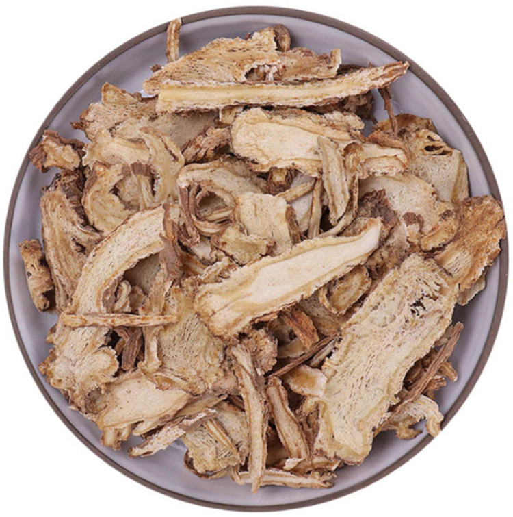 Angelica Root Angelica Root