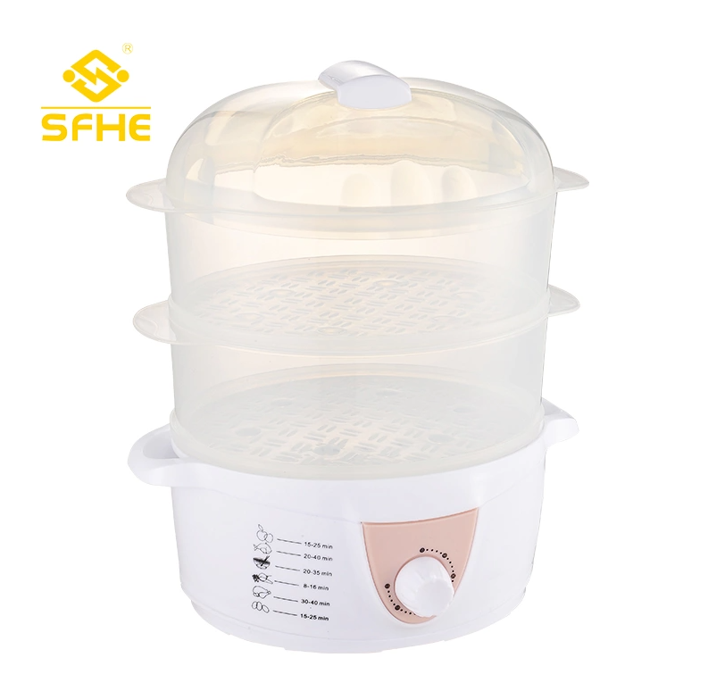 Healthy and environmentally friendly electric steamer