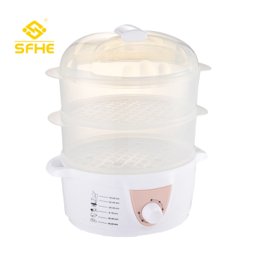 Healthy and environmentally friendly electric steamer