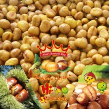 Frozen chestnuts IQF peeled chestnuts for sale