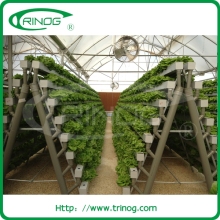 A-frame nft hydroponics system for salad vegetable