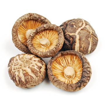 Shiitake Dried Flower Mushroom