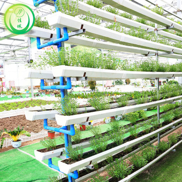Double Inflatable Film Greenhouse With Hydroponic System