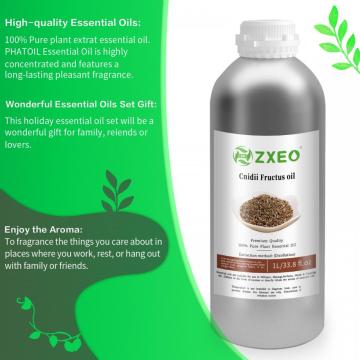 Aceites esenciales de extracto de hierbas chinas Alta calidad Pure Natural Natural Cnidii Aceite utilizado para masaje