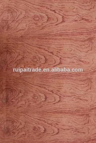 AAA grade 3.2mm 5.2mm red oak fancy plywood for sale
