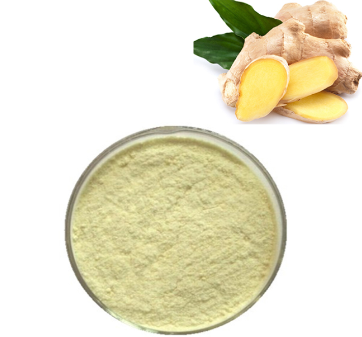 Natural Hebal Extract Ginger Extract Water Soluble Ginger Extract
