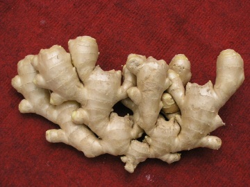 Super Quality Mesh Bags Fresh Ginger Bangladesh