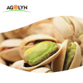 Kwaliteit pistachio gedroogde pistachenoten met zout pistache