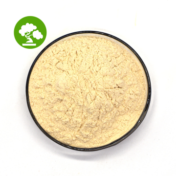 Top Quality Lecithin of Soya Lecithin Phosphatidylcholine