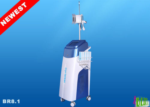 Dual Handle Cryolipolysis Lipolaser Beauty Equipment For Coolsculpting Shaping Br8.1