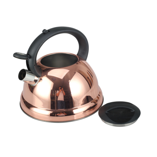 Whistling Tea Kettle mit kühlem Griff