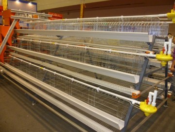 Layer Chicken Cage On Sale