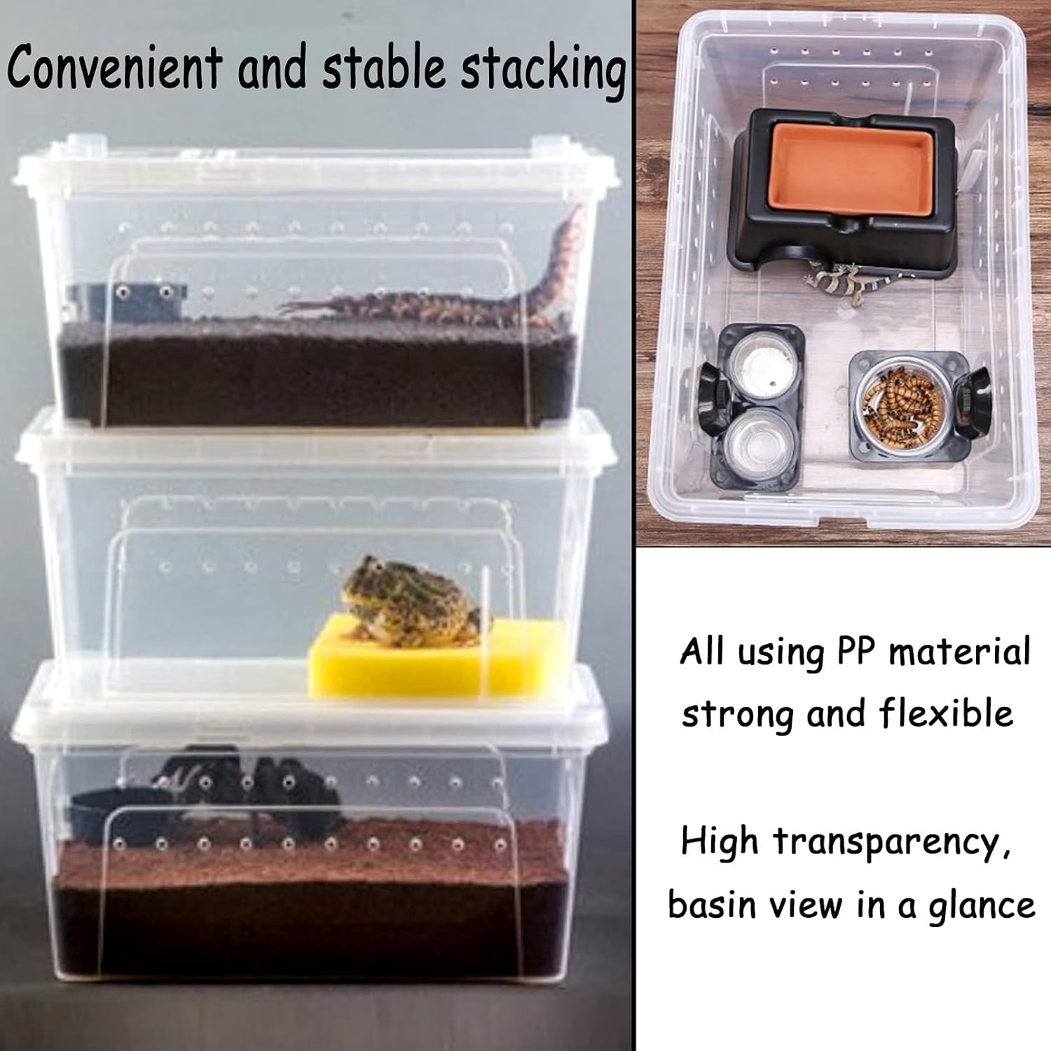 Transparent Reptile Feeding And Breeding Box - Portable Plastic Habitat ...