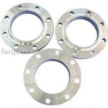 BS standard flange