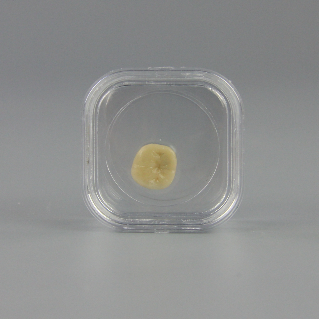 Transparent Plastic Dental Tooth Box with Membrane