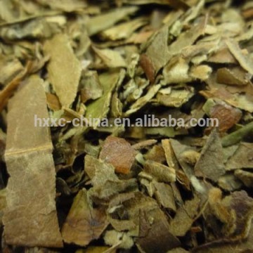 Dried Raw Herbs Slices Folium Eriobotryae Loquat Leaf Pi Pa Ye