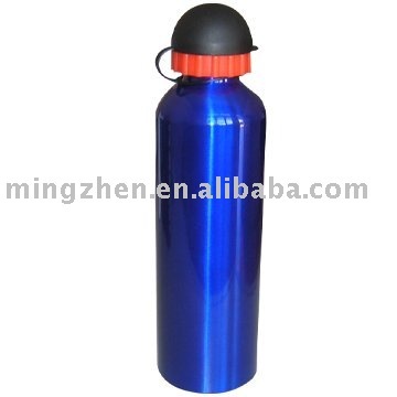 stainless steel sports bottle