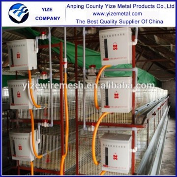 battery broiler cage/broiler chicken cage popular in kenya , Uganda, Nigeria , Mozambique,south africa