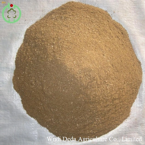 China Meat Bone Meal Factory Price Meat and Bone Meal